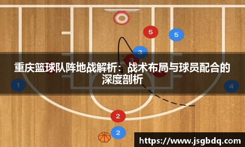 BB贝博登录入口